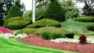 Deena Landscaping - Lawn maintenance, Broward county, Florida