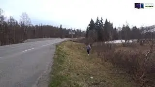 Britt after 3 days being alone in norway with nick and malena | Nmplol