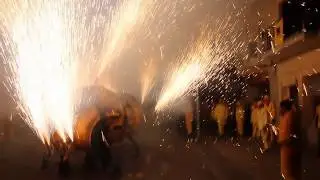 La Festa de la Fil·loxera des de dins.