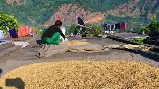 आमा लोगो के तीन parkar के भॉट हुए हैं ll Uttarakhand @pahadivlogshp9580 