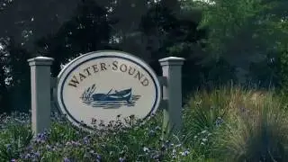 WaterSound Amenities Overview