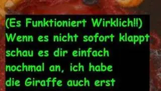 Sehtest