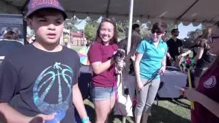 Rotaract Club of ASU | Special Day for Special Kids