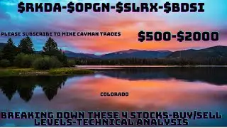 #RKDA-#OPGN-#SLRX-#BDSI-$500-$2000-Technical Analysis-Buy/Sell Levels