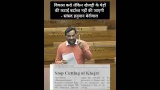 खेजड़ी की कटाई बर्दाश्त नहीं - बेनीवाल| #rajasthan #news #shorts #hanumanbeniwal
