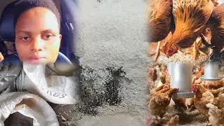 Ikorere ibiryo by'inkoko (formula feed of chicken)kubintu 5gusa biboneka iwawe umusaruro ukaba mwiza