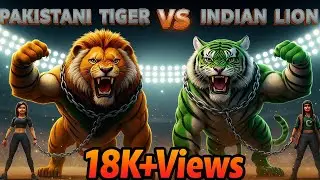 Indian Lion VS Pakistan Tiger Fight in Hindi | New Epic Lion VS Tiger Fight | Lion VS Tiger Video