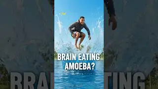 He Swam In A Florida Lake... And A Brain-Eating Amoeba Attacked 🧠