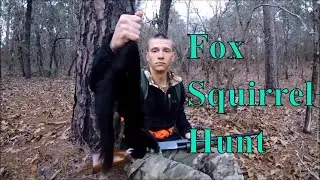1 Awesome Fox Squirrel Hunt with my Son !!!  Black Fox Squirrel