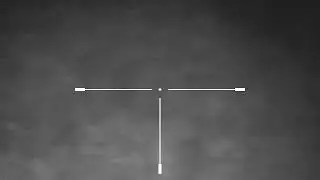 Photon RT 4,5-9x45, волк пришел к машине.