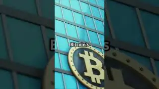 🚨 Who REALLY Controls Bitcoin? The 6 Crypto Whales You NEED to Know! 🤑