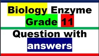 grade 11 enzyme  | euee biology |z secret training center