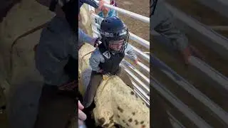 Rodeo time! Second ride for this cowboy! He&rsquo;s learning the way. #rodeo #bullriders #cowboy#ride