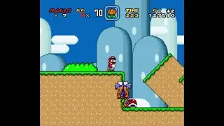 SMW - Rex Glitches
