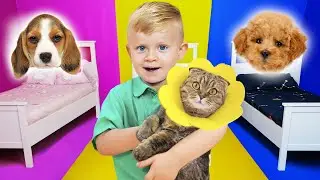 Oliver merawat Hewan-hewan di Pet Hotel