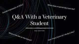 Q&A with a Veterinary Student