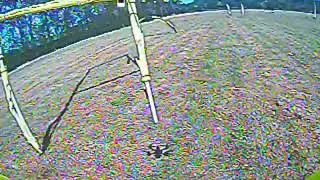 Sdr - 2020