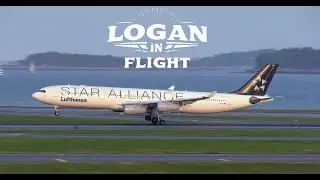 Friday Afternoon Plane Spotting at Boston Logan Airport | Takeoffs, Landings & Logan Lagoon Views