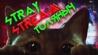 Прохождение №1)- Stray -Залетай на стрим) #ТоЛяНыЧ #stray  #стрей #cat #stream