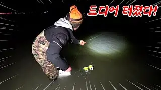 미끼를 던져놓고 기다리면 자연산 횟감이 바글바글 잡힌다!! 대체 몇마리야?