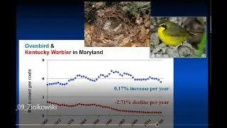 USGS North American Breeding Bird Survey