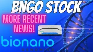 Bngo Stock Recent News & Levels To Watch