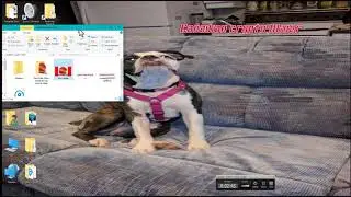 winminer tutorial