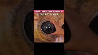 Hidden Security Camera will Catch The Thief Easily..😉