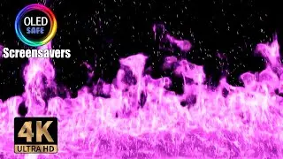 Purple Flames Screensaver - Blazing - 4K - 10 Hours - OLED Safe - No Burn-in