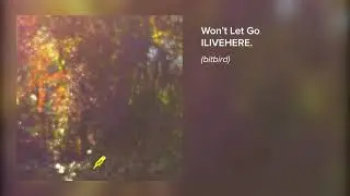 ILIVEHERE. Won't Let Go ft. Kalulu