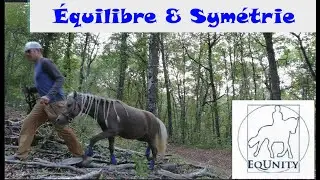 Gymnastique exterieur extreme - Équilibre & symétrie