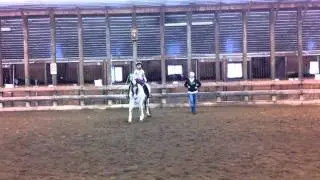 Doodles the gogo pony and Nurtural Bitless Bridle