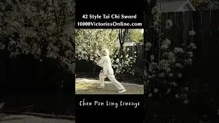 46 Style Tai Chi Sword Form - Learn Ancient Sword Techniques