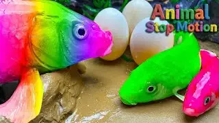 Epic Lego Stop Motion Animation  Movie Style | Stop Motion ASMR7