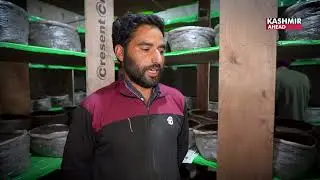 Mushroom farming success in Sopore, J&K: How innovation & support Are transforming rural agriculture