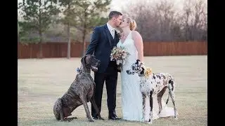 The Brown's Oklahoma Wedding Videographer