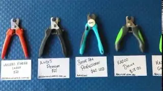 Our Favourite Nail Clippers for Dogs