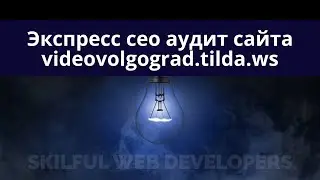 Экспресс сео аудит сайта  