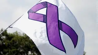 13 Action News Big Story: Domestic Violence and Gun Laws