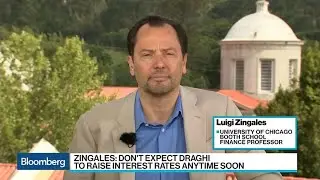 ECB Probably a Year Away From Hiking Rates, Says Zingales