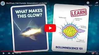 Anglerfish Alight 🎧 : Lure's Role in Deep-Sea Communication Beyond Mating #fish 