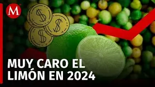 El lim&oacute;n fue el producto con un mayor incremento de precio durante septiembre, asegura Inegi