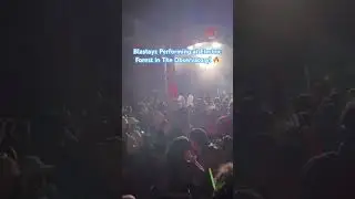 Blastoyz Performing at The Observatory in Electric Forest 2024