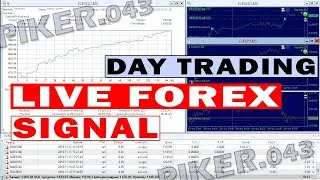 Piker043 forex online trading EA for Metatrader.