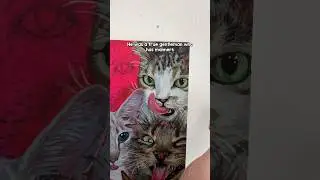Sven has been added to The Sillies! 🥹 @SvenandRobbie #cat #art #silly #painting #artist #meow