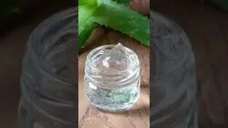 ALOE VERA GEL,POWDER, EXTRACT,JUICE,CREAM,OILAloe Vera, a succulent plant, offers various products