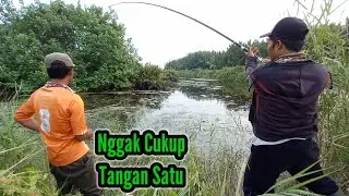 EDAN...! KESERUAN MANCING FULL SETREK~ BOLO JORAN