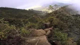 Mt Ka'ala Hike- Highest Peak on Oahu Hawaii