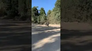 Aprilia RX 125 Beautiful FLY-BY 4-stroke sound 🔥 #125ccmotorcycles #apriliamotorcycles #bikelife