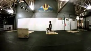 Bodeefit Lunges